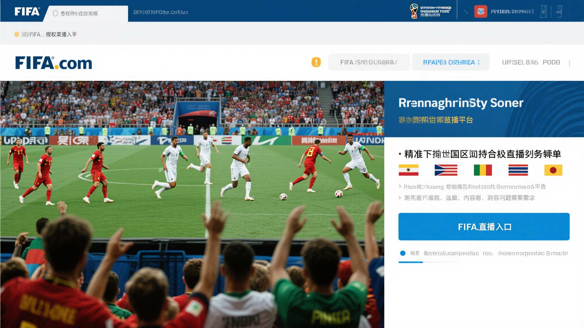 世界杯直播额简介